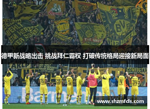德甲新战略出击 挑战拜仁霸权 打破传统格局迎接新局面
