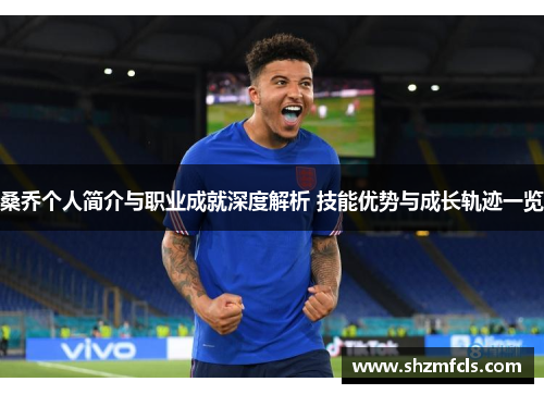 桑乔个人简介与职业成就深度解析 技能优势与成长轨迹一览