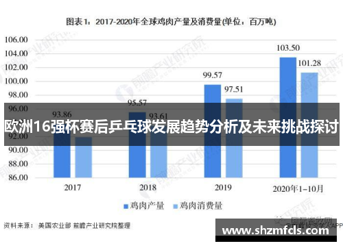 欧洲16强杯赛后乒乓球发展趋势分析及未来挑战探讨