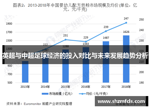 英超与中超足球经济的投入对比与未来发展趋势分析