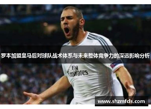 罗本加盟皇马后对球队战术体系与未来整体竞争力的深远影响分析