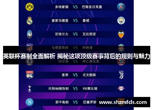 英联杯赛制全面解析 揭秘这项顶级赛事背后的规则与魅力