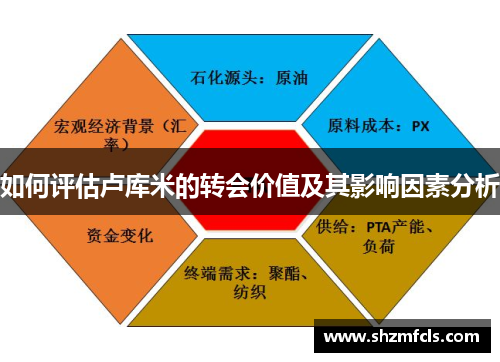 如何评估卢库米的转会价值及其影响因素分析
